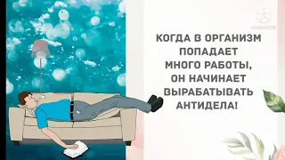 - Не хочу на работу! Лучшие смешные анекдоты!