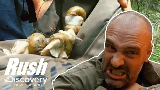 Ed Stafford Is Forced To Eat Snails In The Bulgarian Mountains | Ed Stafford Left For Dead