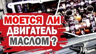 Мойка двигателя маслом. Есть ли эффект?