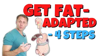 Become Fat Adapted in 4 Steps