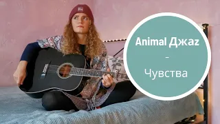 Animal ДжаZ - Чувства (кавер на гитаре)