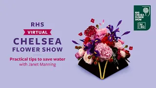 Practical tips to help you use water effectively in your garden | RHS Virtual Chelsea 2021