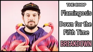 How to Flamingosis "Down for the Fifth Time" | The Chop 10 [ Whosampled / Sampling Tutorial ]