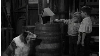 Lassie - Episode #134 - "The Bird House" - Season 4, Ep. 31 - 04/06/1958