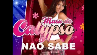 BANDA MUSA DO CALYPSO - NAO SABE