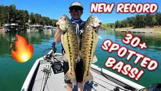 LAKE LANIER 30+ SPOTTED BASS on TOPWATER & FLUKES | AWESOME ACTION SPRING FISHING