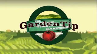 How to prepare your soil in your garden Garden Tip - The Wisconsin Vegetable Gardener