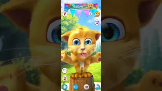 #cat 🙀#ginger #takingginger #talkingtom🙀 #catcolor 🙀