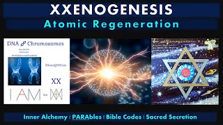 ATOMIC REGENERATION | XXenoGENEsis - I AM THAT I AM - Inner Alchemy | SACRED OIL