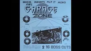 Various ‎– The Garage Zone Vol 2 : 60s Garage Beat Rock Punk Psychedelic Moxie Records Music Bands