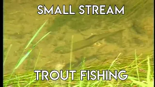 Wyoming Small Stream Trout Fly Fishing