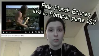 Pink Floyd - Echoes / Live at Pompeii parts 1 & 2 REACTION/REVIEW