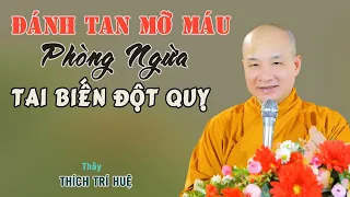 Cách Làm Giảm Mỡ Máu Phòng Ngừa Tai Biến Đột Quỵ - Cực hay. Thầy Thích Trí Huệ sức khỏe