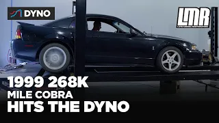 William's 268,000 Mile 1999 Cobra | Dyno Pull