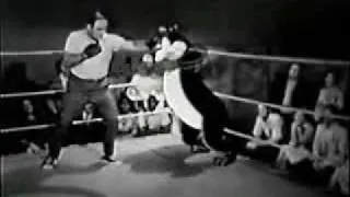 Hamms Beer Commercial - Vintage Boxing reel