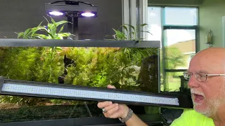 How to tell if you really have enough lighting for your aquarium without using a par-meter.