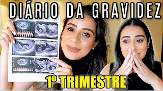 Diário de gravidez | Enjôos, ultrassom , susto | PRIMEIRO TRIMESTRE