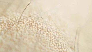 Skin & Nails