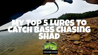 Top 5 Lures To Catch Bass Chasing Shad (Catching Fall Bass In Shad)