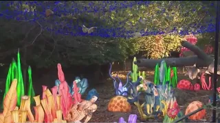 Merry and bright! 'Holiday Lights' display returning to Bronx Zoo