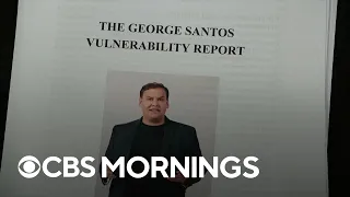 "Vulnerability report" spotted red flags long before embattled Rep. George Santos was elected