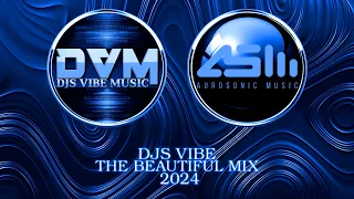 Djs Vibe - The Beautiful Mix 2024 (Aurosonic)