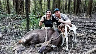 Successful hunt after isolation - A shocking find!!