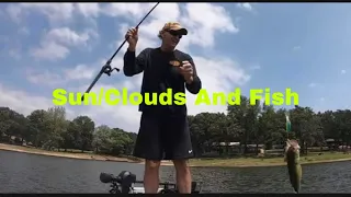 How Sunshine And Clouds Affect Fish