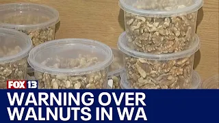 Foodborne illness attorney warns of E. Coli in walnuts | FOX 13 News