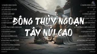 NHÂN SINH QUÁN - LUÂN ĐẠO VÔ HỒI  [ HOT TIKTOK 2024 ] JIN TUẤN NAM - VŨ TUẤN KHANG