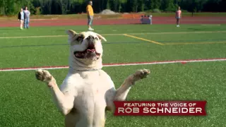 PUPS UNITED Official Trailer (2015) - Rob Schneider