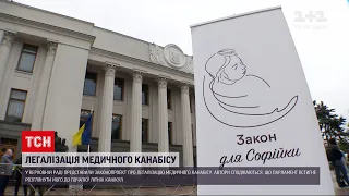Новини України: депутати планують легалізувати медичний канабіс ще до середини літа