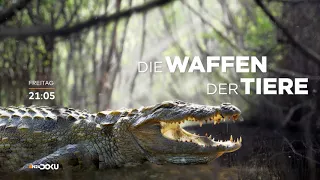 DIE WAFFEN DER TIERE - Die neue Dokureihe!