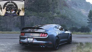 Shelby GT350R - Forza Horizon 5 with Logitech G29