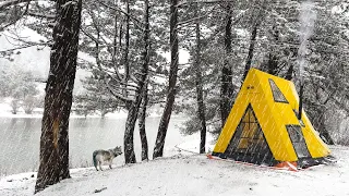 3 Days Solo Camping in Heavy Snow and Rain - Relaxing Camping in Snowfall and Rain Sound