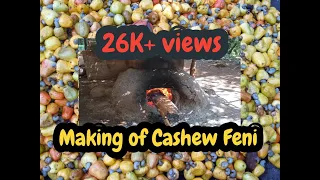 Making of Cashew Feni I Product Of Goa