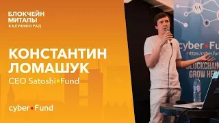 Инвестирование в блокчейн-проекты, Константин Ломашук | Blockchain Development