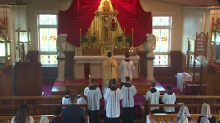 SSPXNZLIVE - Trinity Sunday - 26th May - Sung Mass