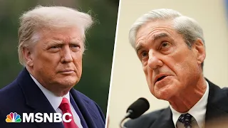 Trump docs indictment shows 'clearer example of criminality' than Mueller found: investigator