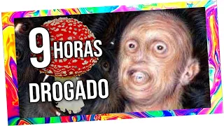 🍄Mi PRIMERA VEZ en HONGOS ALUCINÓGENOS 😵👽🌈 ESTO OCURRIÓ... #01