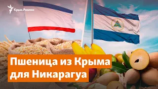 Пшеница для Никарагуа. Крым собирается поставлять товары за океан | Крымское утро