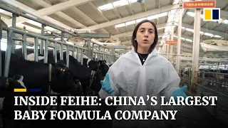 How Feihe survived the 2008 tainted milk scandal and became China's largest baby formula company