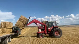 River B Stacking Straw with an IH 1086