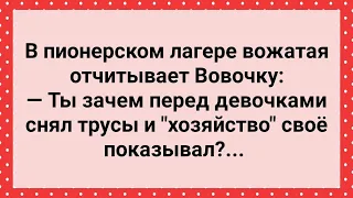 Вовочка Показал Девочкам Свое "Хозяйство"! Сборник Свежих Анекдотов! Юмор!