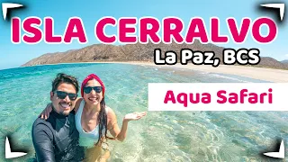 CERRALVO ISLAND - La Paz 🔴 AquaSafari Mobula Ray 😱 We were scared by a whale 🐳  Sin Postal