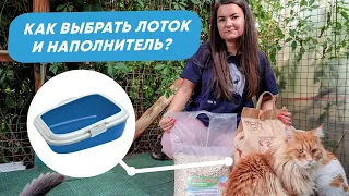 Как выбрать кошачий туалет? Наполнитель для кошачьего туалета - какой лучше?