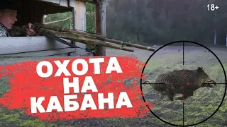 Охота с Подхода на Дикого Кабана в Турции зимой 2022!? Добыл хороший трофей!?WILD BOAR HUNTİNG!?2022