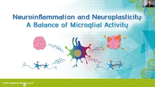 Missing Links in Mental & Metabolic Illness: Nitric Oxide, Methylation, & the Microbiome - Brendan V