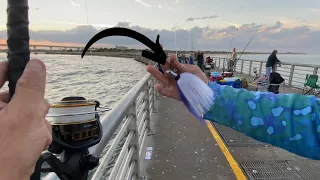 Snook Fishing with Jigs! (Sebastian Inlet)