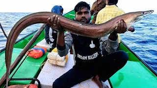 Catching Mangrove Jack Fish, Blubber lip Snapper & Eel Fish in the Deep Sea